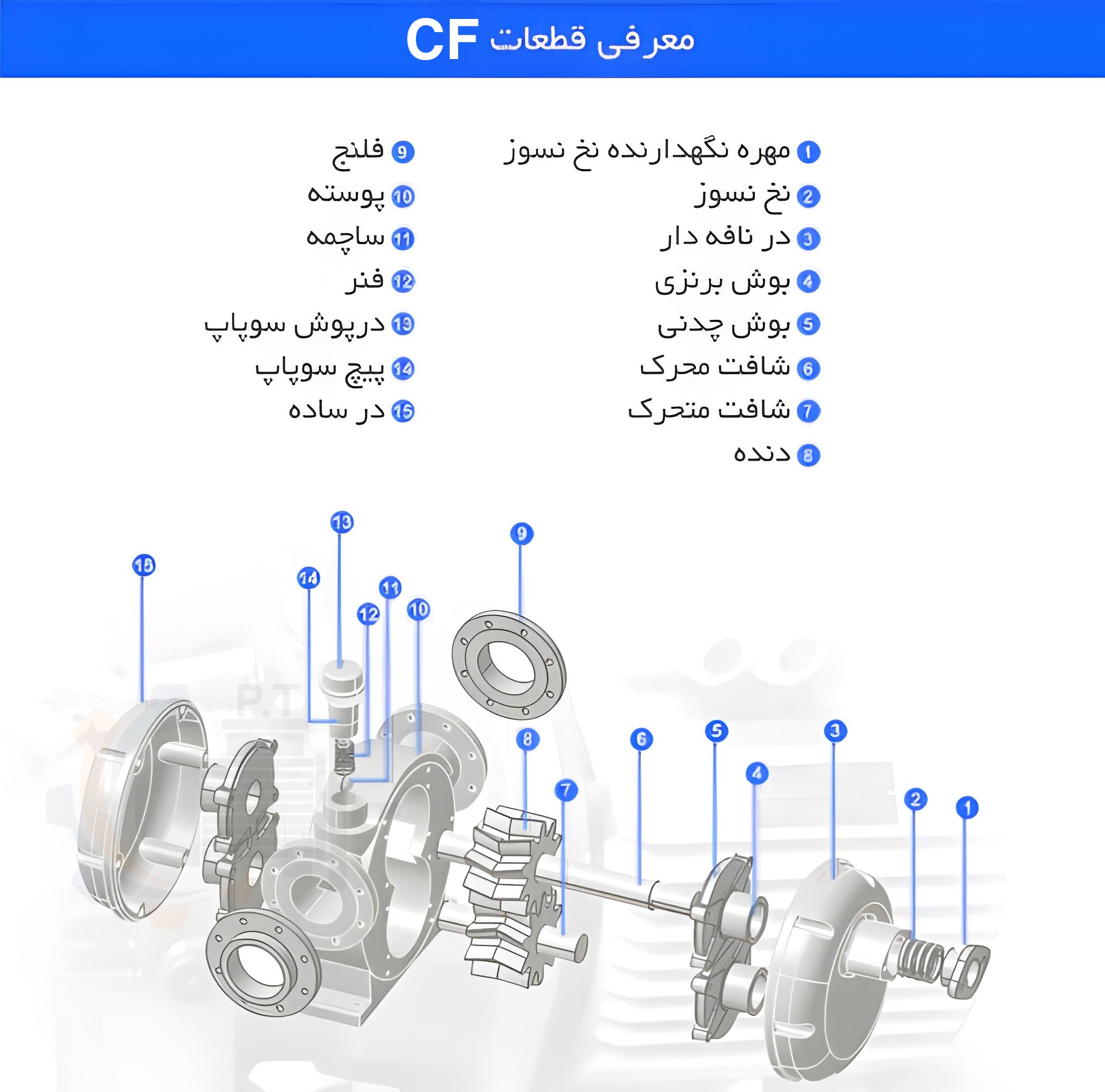 پمپ دنده ای ایران البرز مدل:CF - تصویر 4
